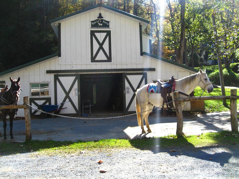 Valle Crucis Farm Buitenkant foto